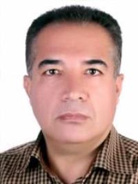 هادی رحمانیان